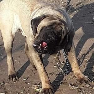 Meet your Posher, Steven